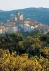 Arcidosso (62kb)